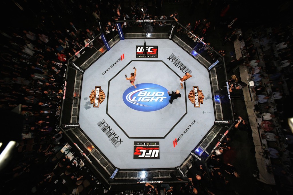O octagon do UFC. Foto: Josh Hedges/UFC.