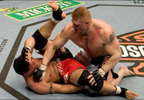 Lesnar acerta Mir em foto de Josh Hedges