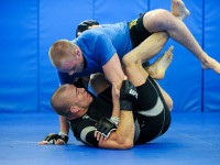 GSP’s gentle armbar