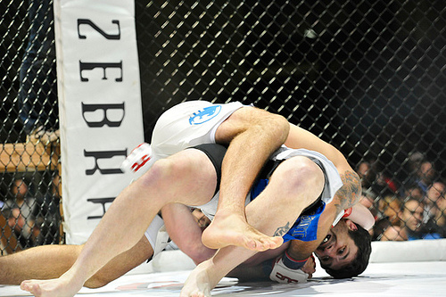 Seven questions for Rolles Gracie