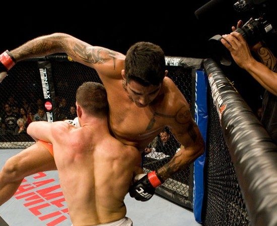 Ricardo Almeida doesn’t confirm Pitbull fight