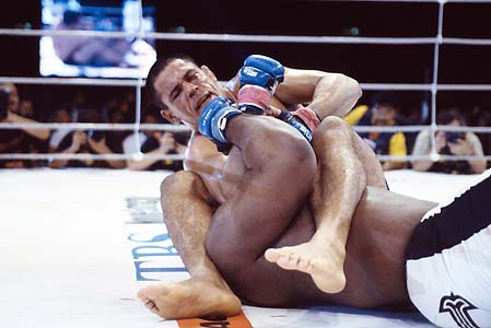 minotauro-x-bob-sapp1.jpg