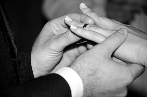 Quer casar comigo, minha amada faixa-branca?