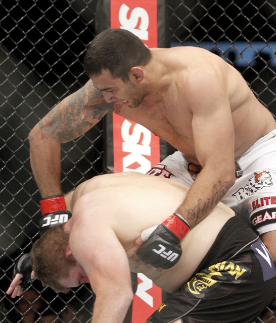 Werdum UFC 147