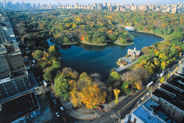 Central Park em NY em vista area
