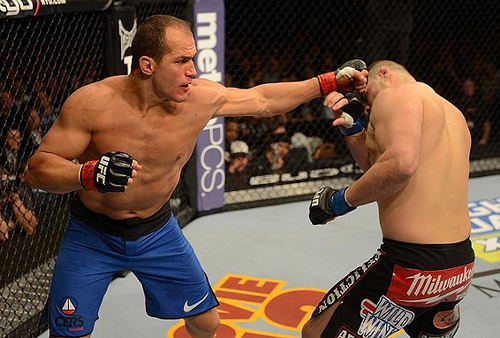 Cigano volta a treinar em breve. Foto: Josh Hedges/Zuffa LCC via Getty Images