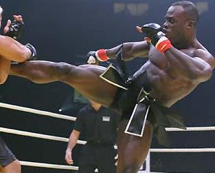 Sparring de Lyoto, Melvin Manhoef luta no One FC