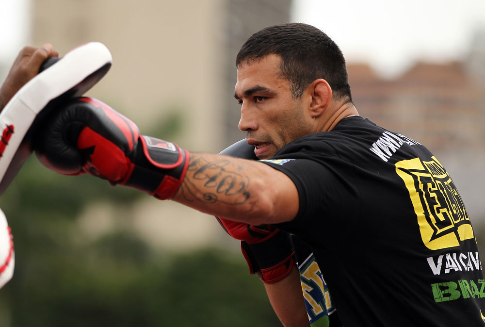 Fera do Jiu-Jitsu, Werdum foca no boxe para luta contra Minotauro. Foto: Josh Hedges/ZuffaLLC via Getty Images