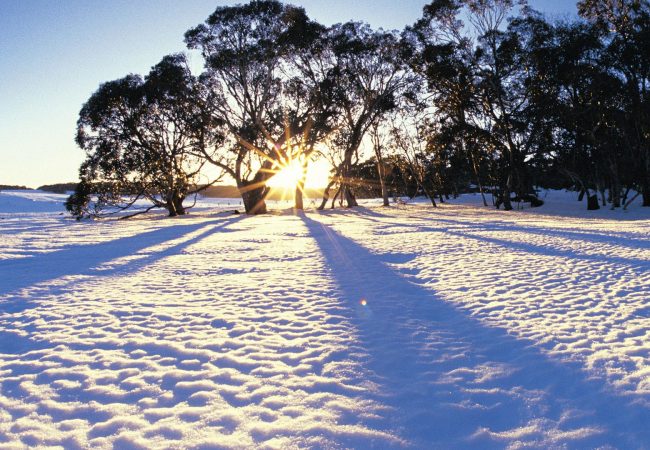 Que frio! Veja um combate sem kimono em meio à neve da Finlândia