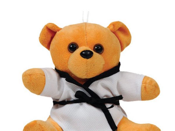 O treino solitário do pequeno atleta de Jiu-Jitsu e seu urso de pelúcia