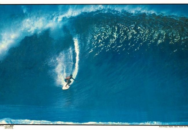 Mestre no Jiu-Jitsu e surfe, Renan Pitanguy morre no Rio de Janeiro