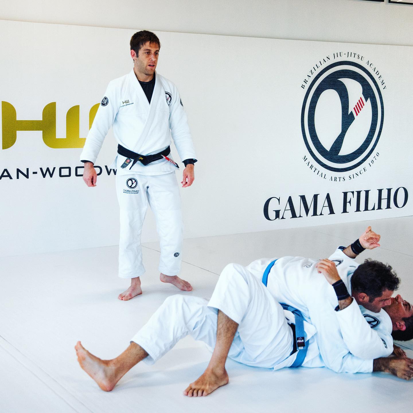 Cobrinha BJJ Executive