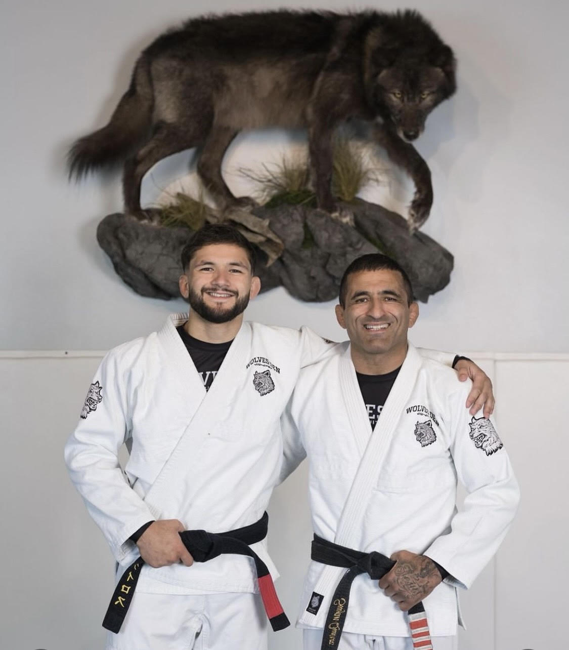 Suyan explica novos rumos e a transformação de paicoruja em lobo com garra afiada Graciemag