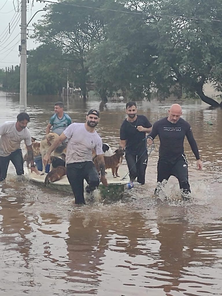 Faixas-pretas e alunos no resgate a pessoas e cães. Foto: Divulgação